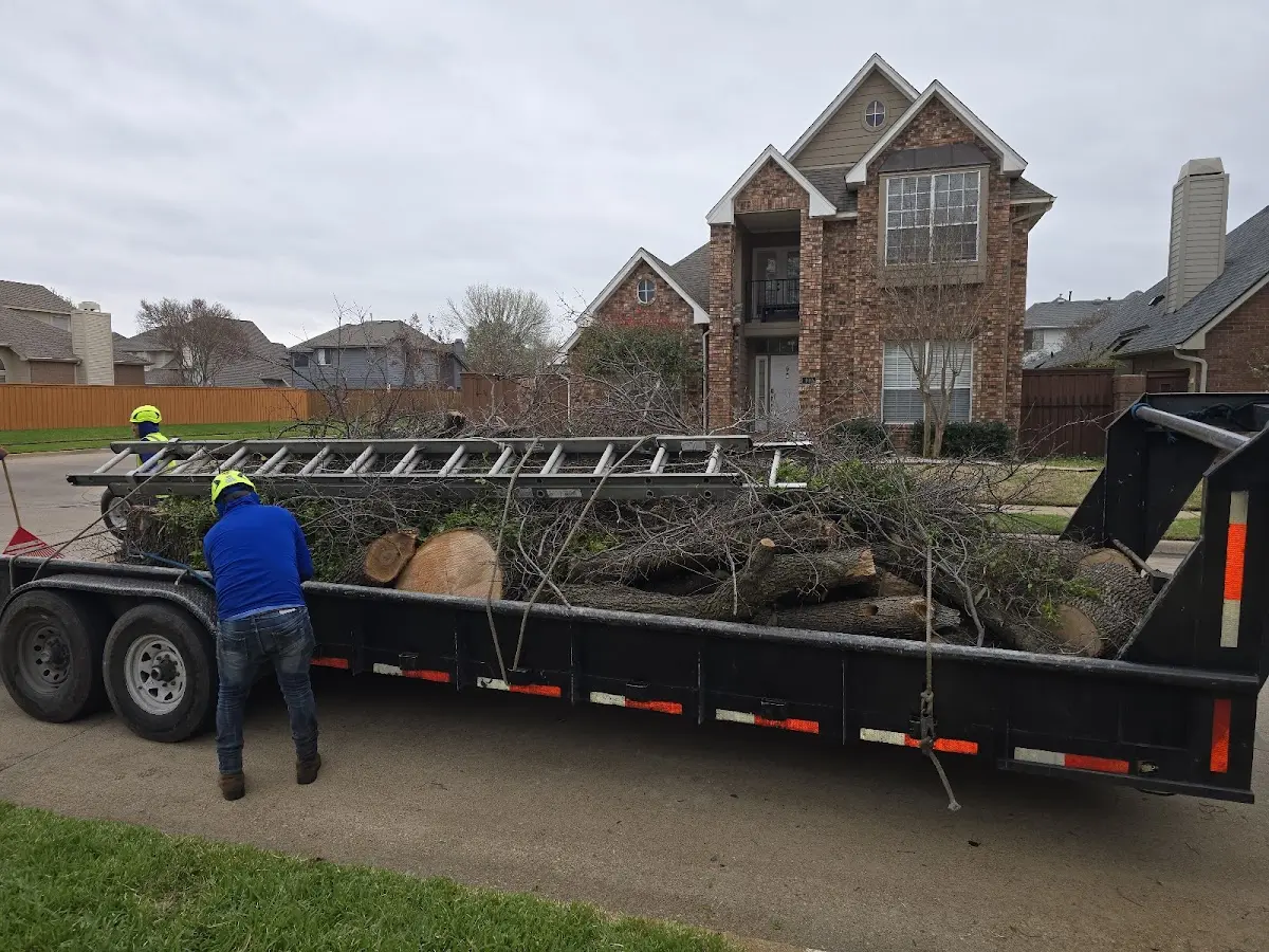 Expert Tree Pest Control with proper safety equipment in Garrard